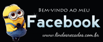 <b><center>Bem vindo ao meu Facebook</b></center>