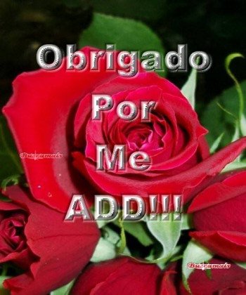 <b><center>Obrigado por me add!</b></center>