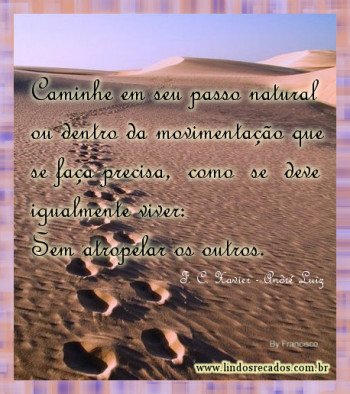 <b><center>Caminhe em seu passo natural...</b></center>