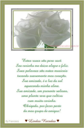 <b><center>Estas rosas são para você.</b></center>