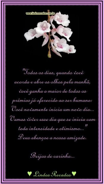 <b><center>Amizade</b></center>