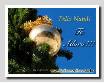 <b><center>Feliz natal, te adoro.</b></center>