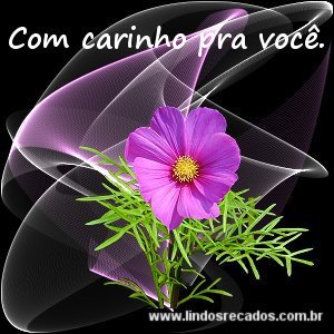 <b><center>Com carinho para você</b></center>