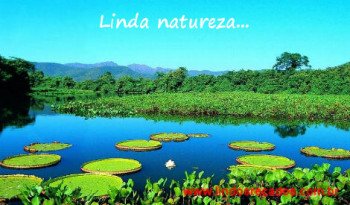 <b><center>Linda natureza</b></center>