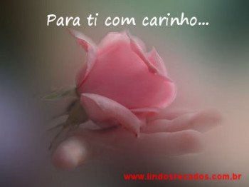 <b><center>Para ti com carinho</b></center>