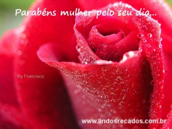 <b><center>Mulher és flor</b></center>