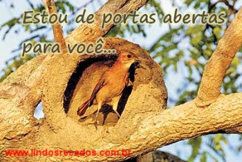 <b><center>Estou de portas abertas para você...</b></center>