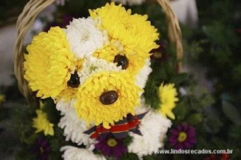 <b><center>Cachorrinho!</b></center>