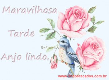 <b><center>Maravilhosa tarde anjo</b></center>