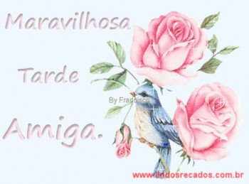 <b><center>Maravilhosa tarde amiga</b></center>