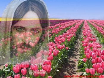 <b><center>Jesus</b></center>