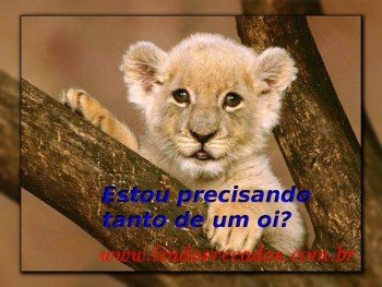 <b><center>Estou precisando tanto de um oi.</b></center>