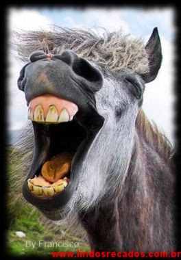 <b><center>As vezes sou assim</b></center>
