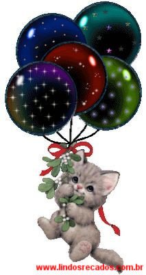 <b><center>Gatinho</b></center>