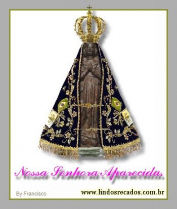 <b><center>N S Aparecida</b></center>