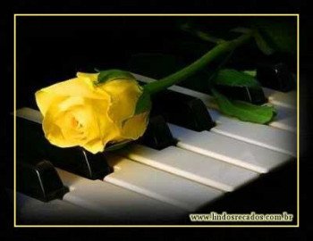 <b><center>Amor, música e rosas</b></center>
