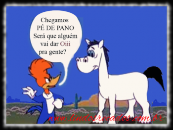<b><center>Chegamos pé de pano!</b></center>