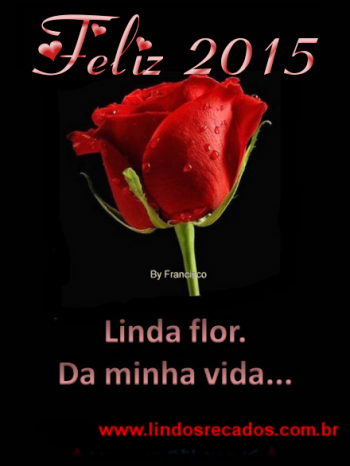<b><center>Ano novo</b></center>