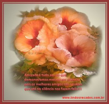 <b><center>Amizade</b></center>