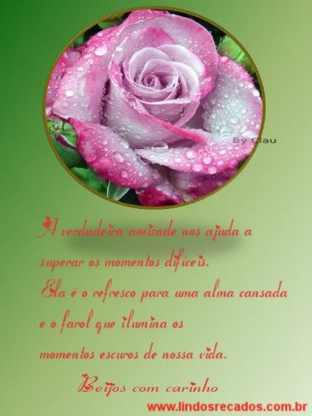 <b><center>Amizade</b></center>