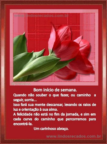 <b><center>Bom início de semana</b></center>