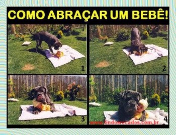 <b><center>Como abraçar...</b></center>