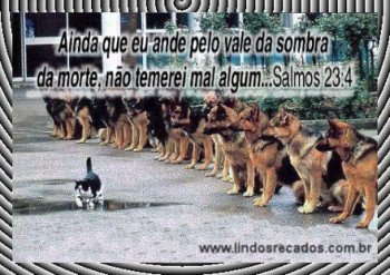<b><center>Ainda que eu ande...</b></center>