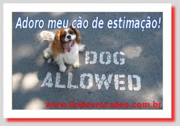 <b><center>Adoro meu cão</b></center>