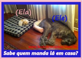 <b><center>Ele x Ela</b></center>