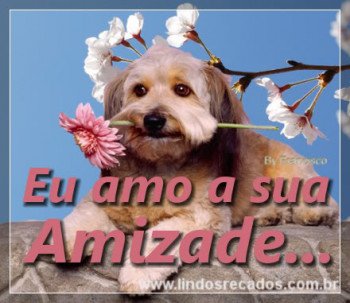 <b><center>Eu amo sua amizade</b></center>
