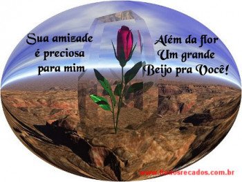<b><center>Sua amizade é preciosa para mim</b></center>