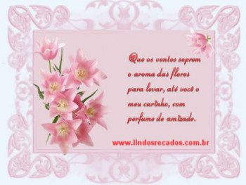 <b><center>Que os ventos soprem...</b></center>