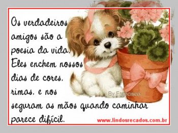 <b><center>Os verdadeiros amigos...</b></center>