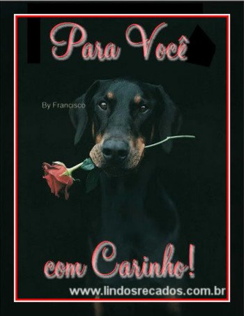 <b><center>Com carinho...</b></center>