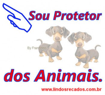 <b><center>Sou protetor dos animais</b></center>