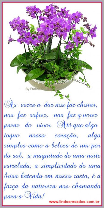 <b><center>As vezes a dor nos faz...</b></center>