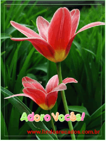 <b><center>Adoro vocês</b></center>