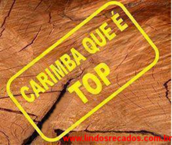 <b><center>Esta é top</b></center>
