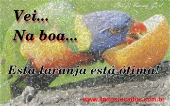 <b><center>Vei na boa</b></center>