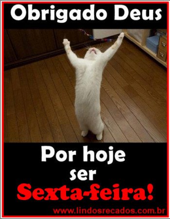 <b><center>Hoje é sexta-feira</b></center>