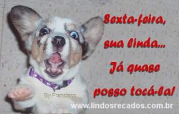 <b><center>Sexta-feira minha linda.</b></center>