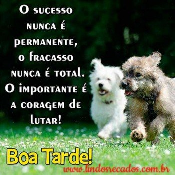 <b><center>Boa tarde</b></center>