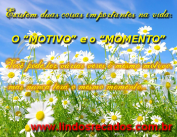 <b><center>O motivo e o momento</b></center>