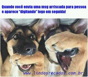 <b><center>Quando envia uma msg</b></center>