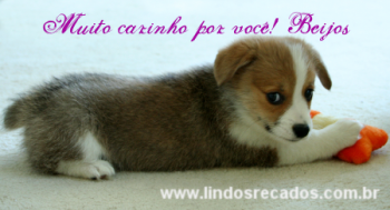 <b><center>Muito carinho por você</b></center>