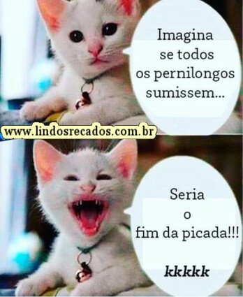 <b><center>Imagine se todos os pernilongos sumissem...</b></center>