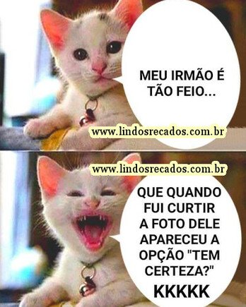 <b><center>Meu irmão é...</b></center>