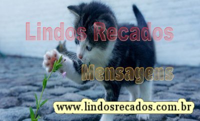 <b><center>Lindos Recados Mensagens</b></center>