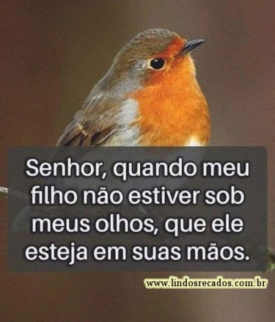 <b><center>Cuida do meu filho Senhor</b></center>