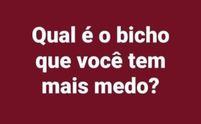 <b><center>Qual o bicho...</b></center>